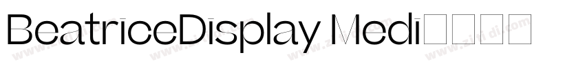 BeatriceDisplay Medi字体转换